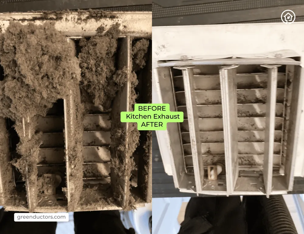 Slide of Green Ductors