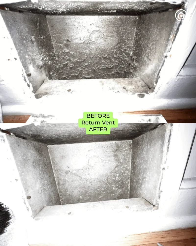 Slide of Green Ductors