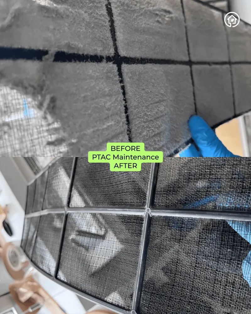 Slide of Green Ductors