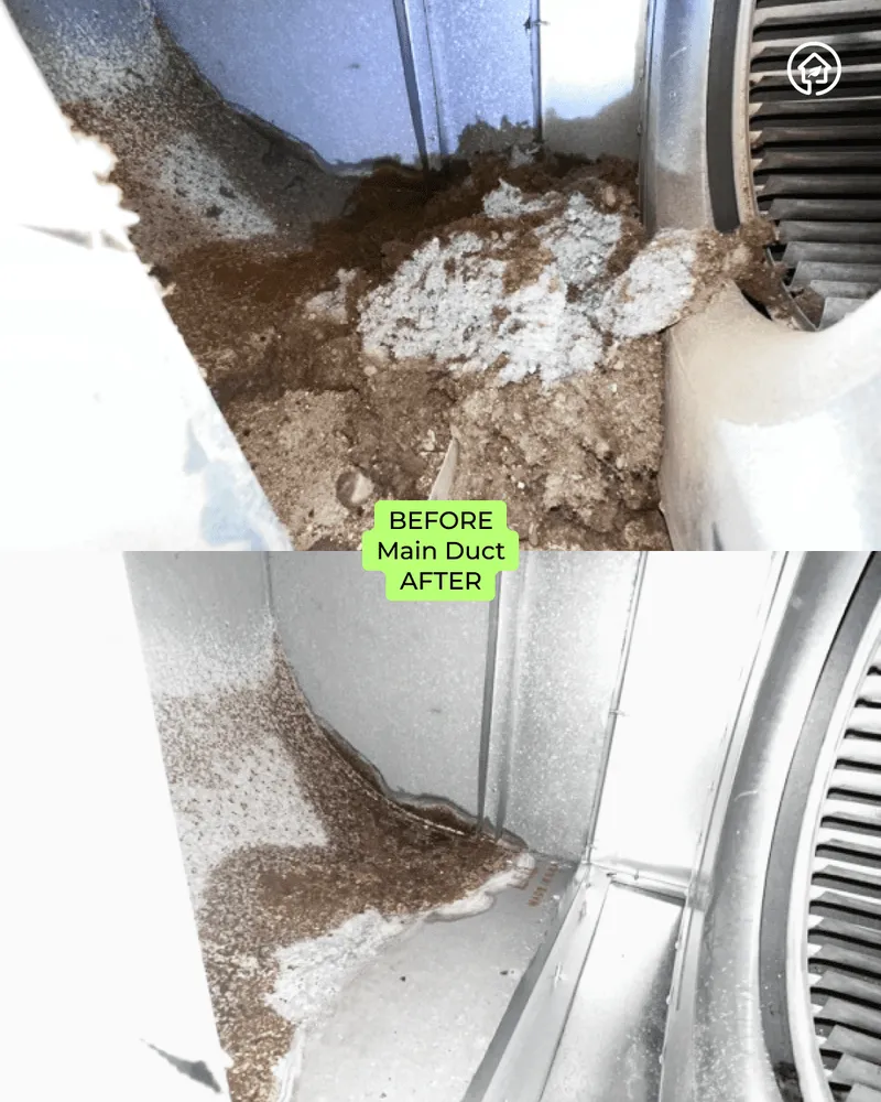 Slide of Green Ductors