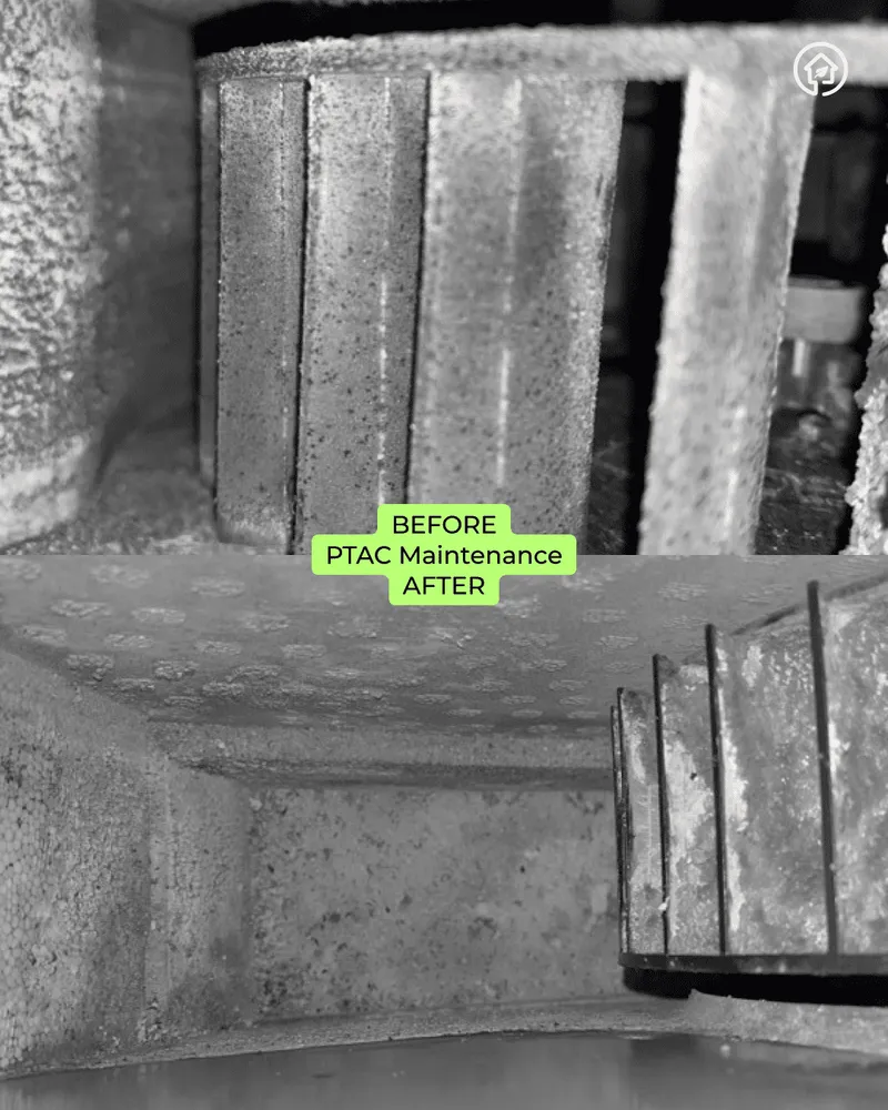 Slide of Green Ductors