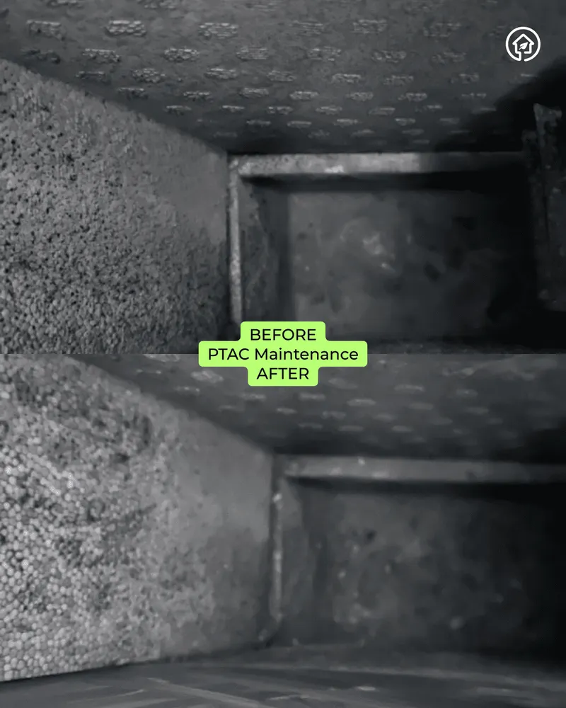 Slide of Green Ductors