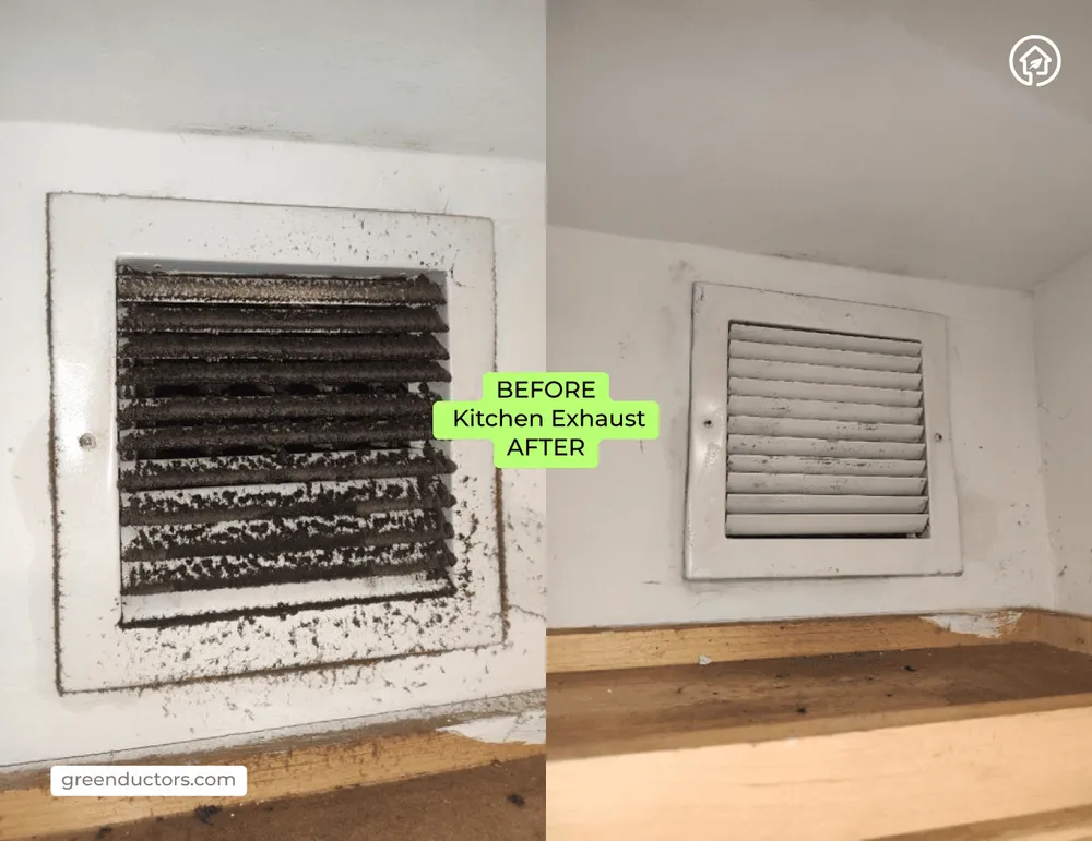 Slide of Green Ductors