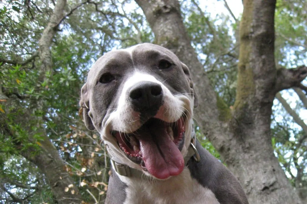 Slide of Green Future