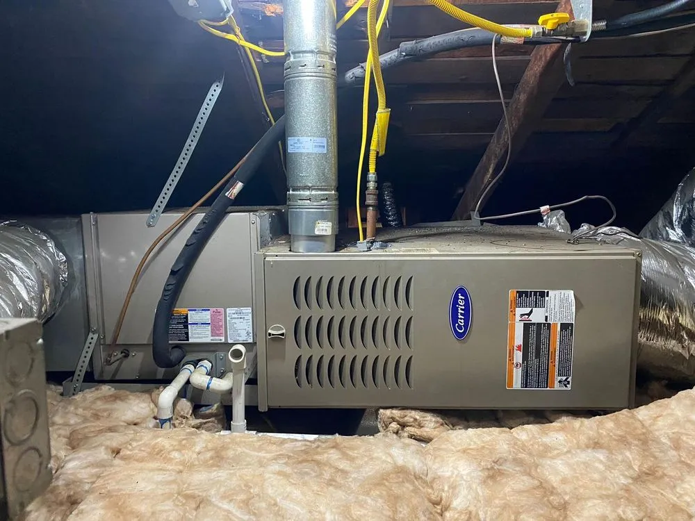 Slide of Green Future