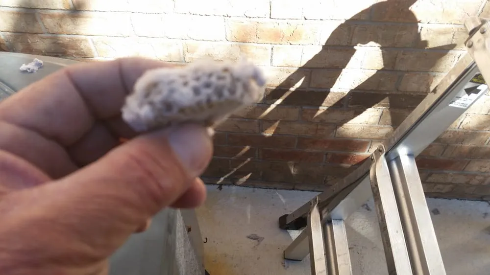 Slide of Green Home Dryer Vent Cleaning