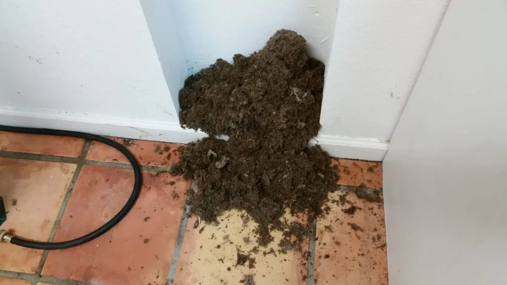 Slide of Green Home Dryer Vent Cleaning