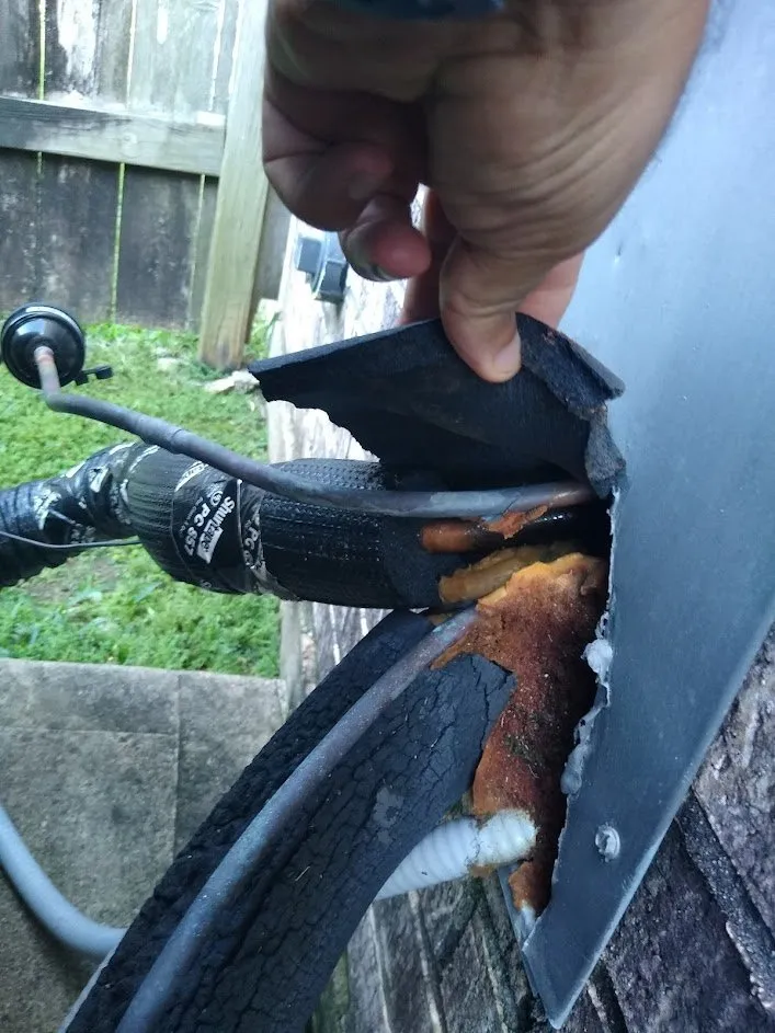 Slide of Green Leaf Air