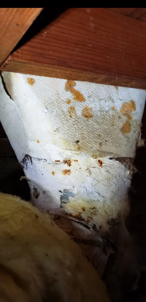 Slide of Green Mechanics