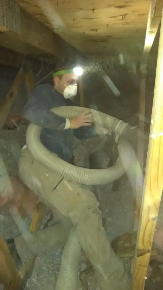 Slide of Green Team LI