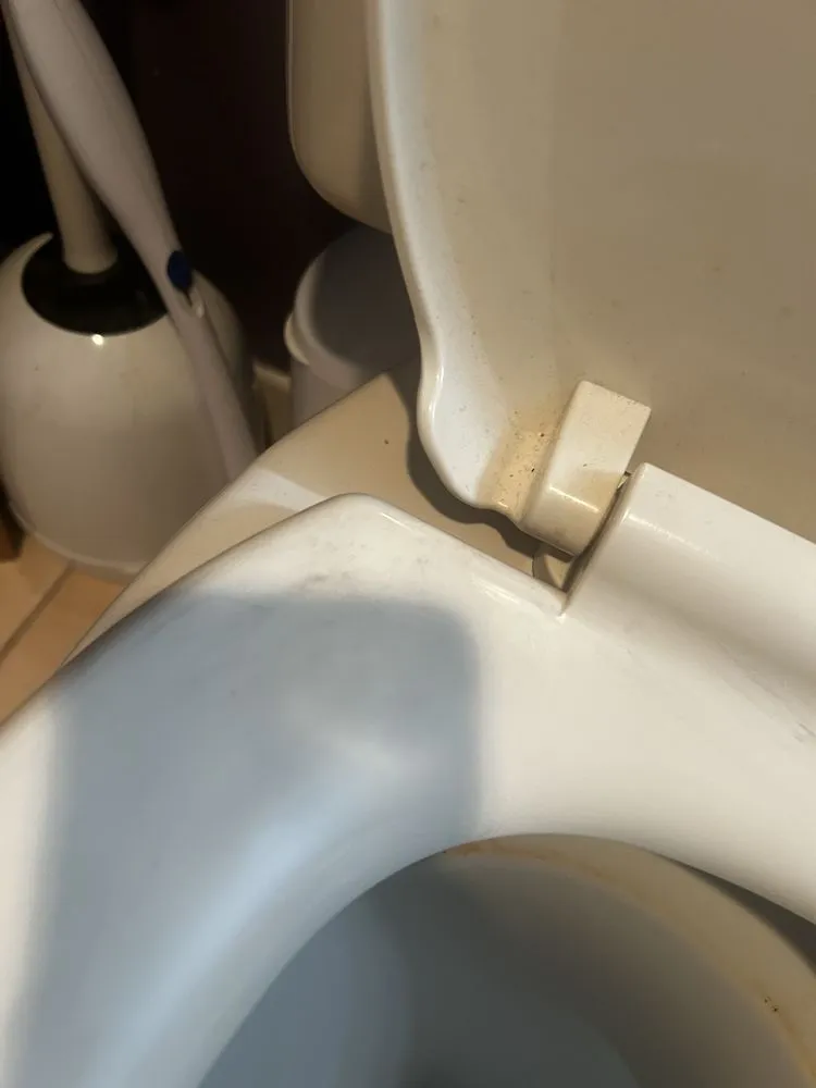 Slide of Green Team LI