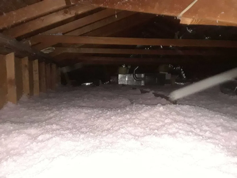 Slide of Green Tech Solutions & Services