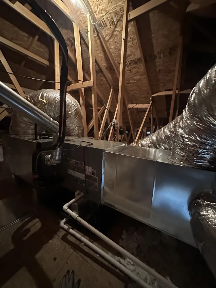 Slide of Green World