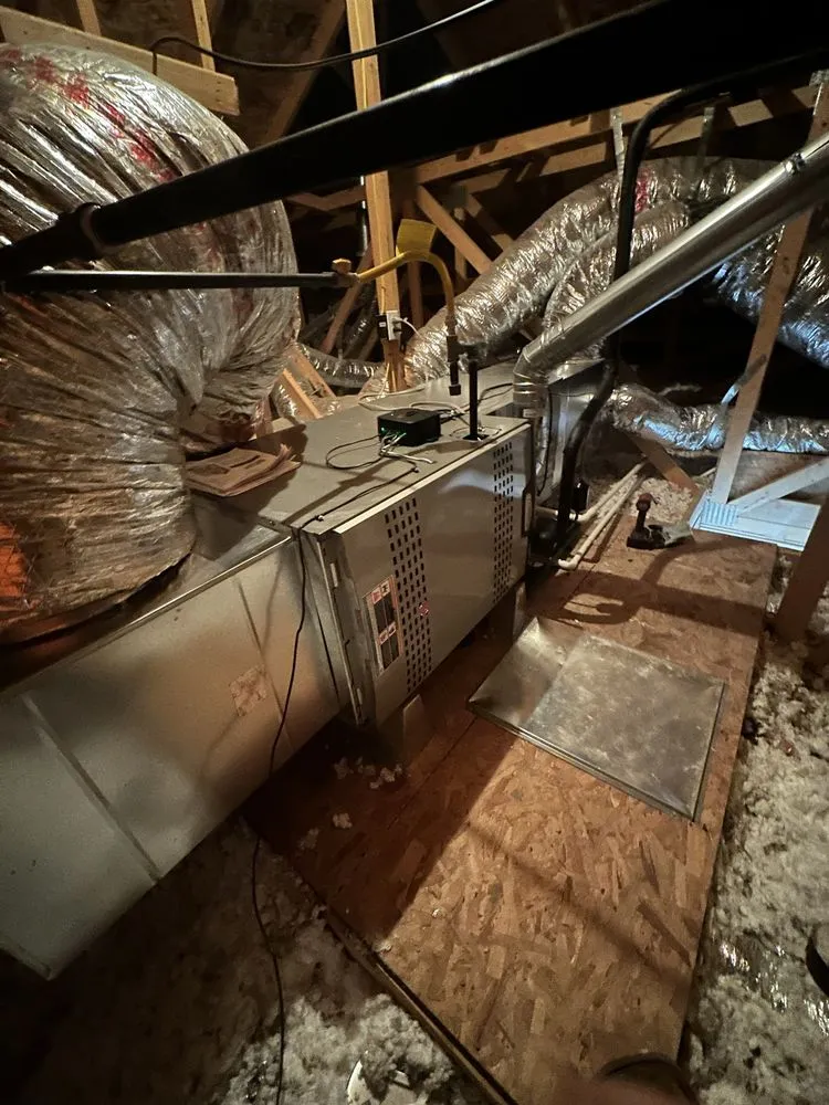 Slide of Green World