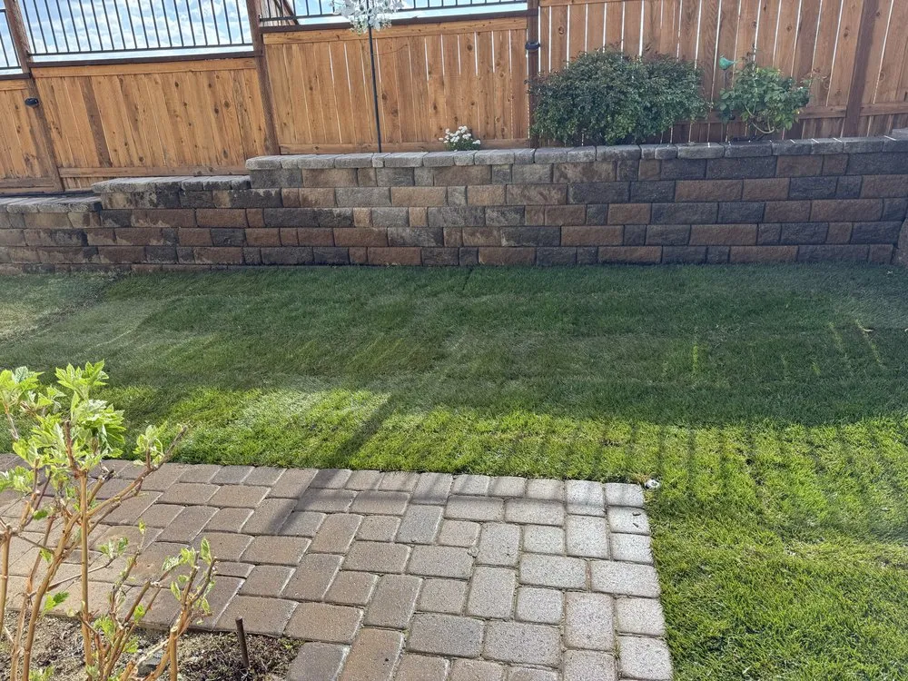 Slide of Green World