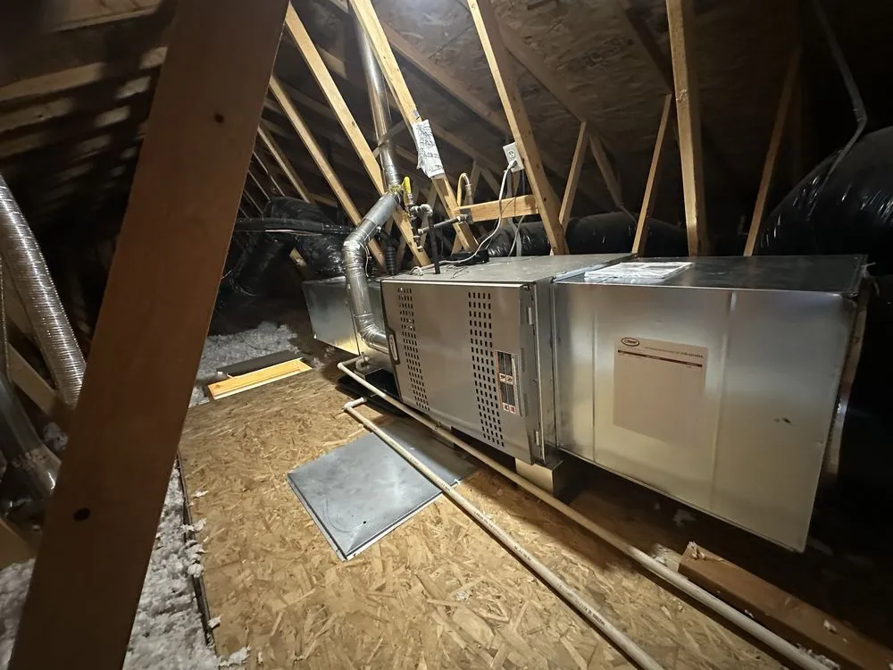 Slide of Green World