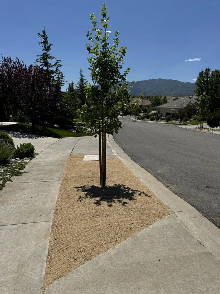 Slide of Green World