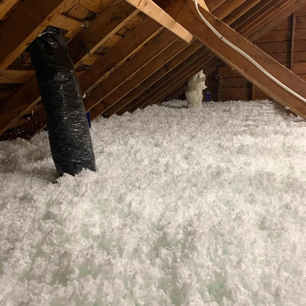 Slide of GreenSavers