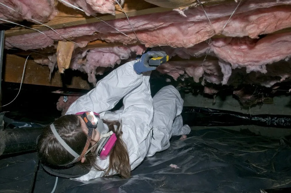 Slide of GreenSavers