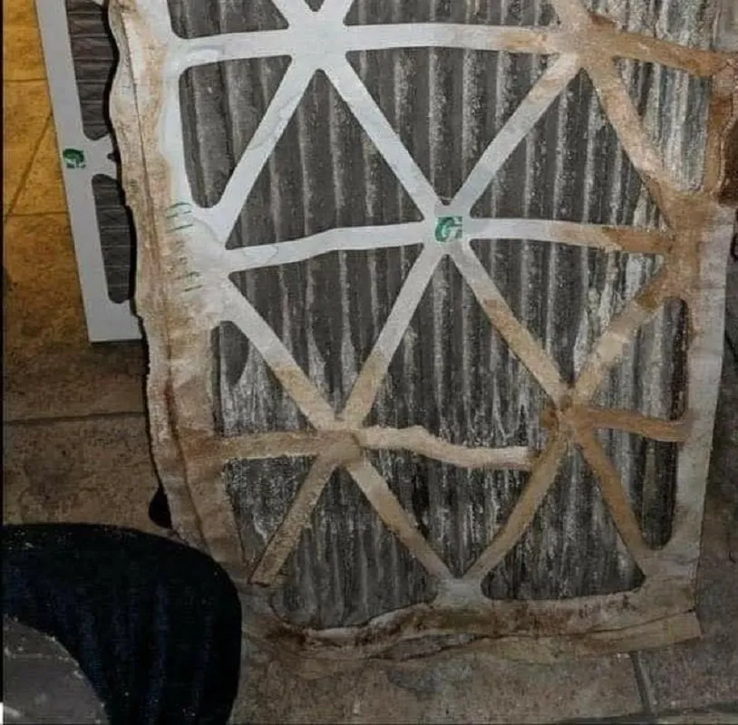 Slide of Greer's Banner Air