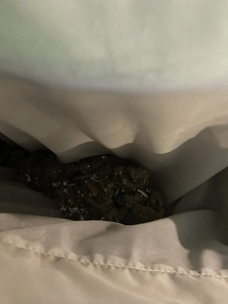 Slide of Greg's Air Solutions