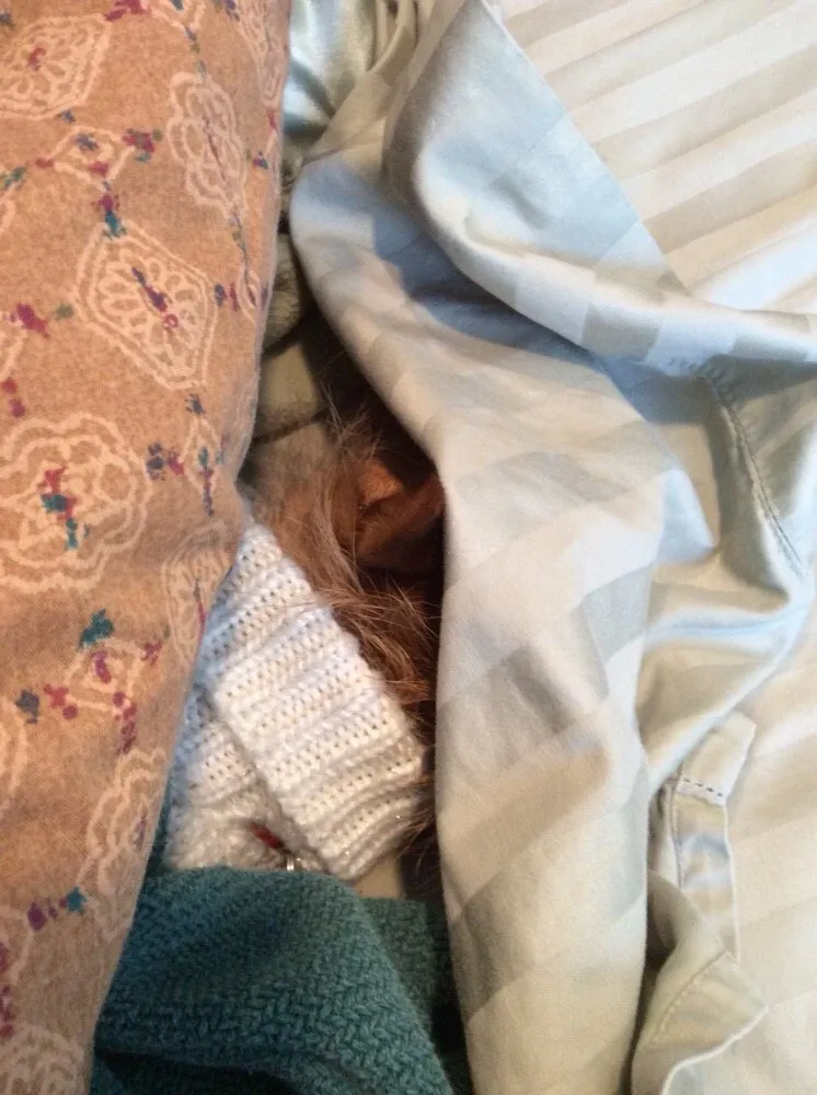 Slide of Griffith Energy Services