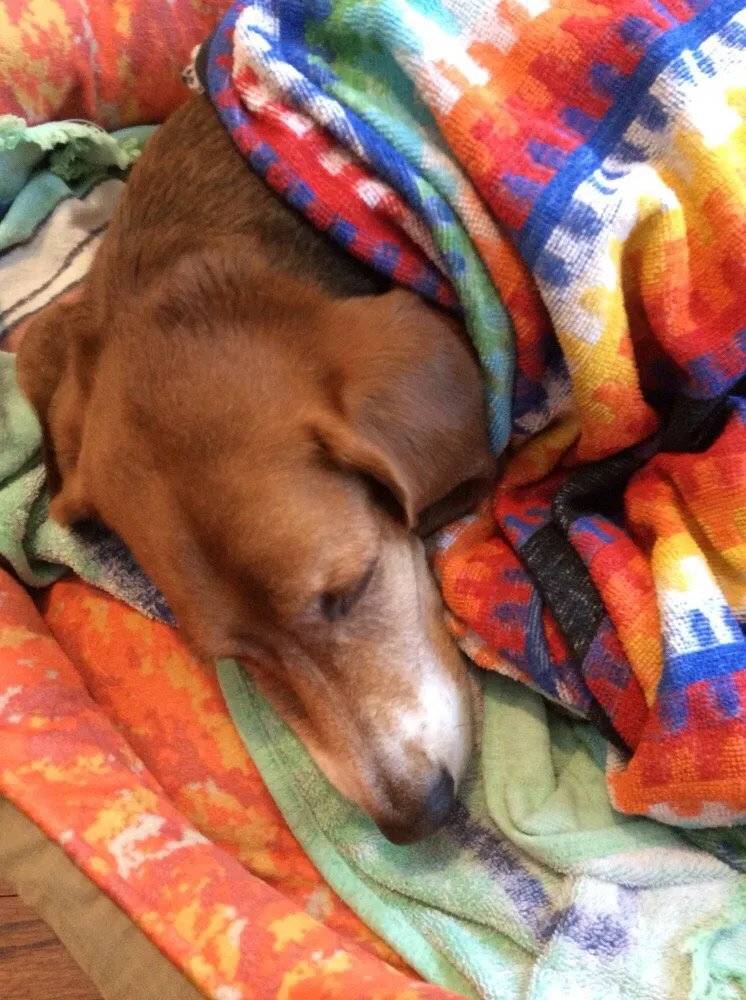 Slide of Griffith Energy Services