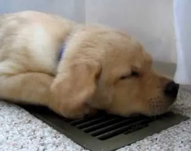 Slide of Griffith Energy Services