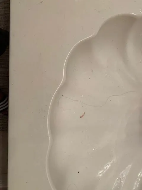 Slide of Grille Bros. Mechanical Contractors