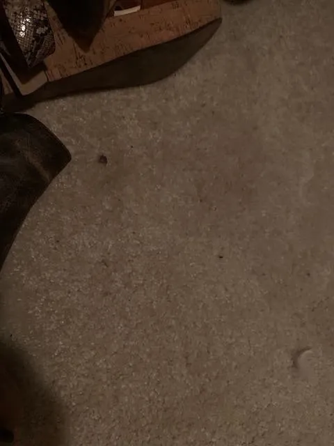 Slide of Grille Bros. Mechanical Contractors