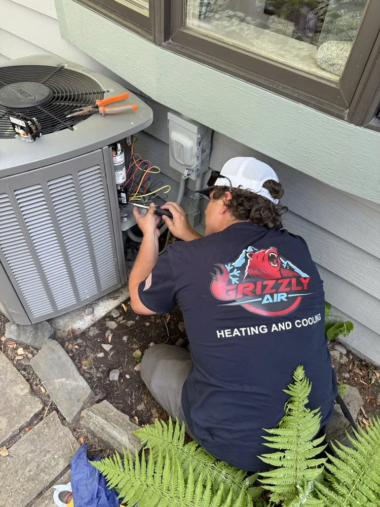 Slide of Grizzly Air