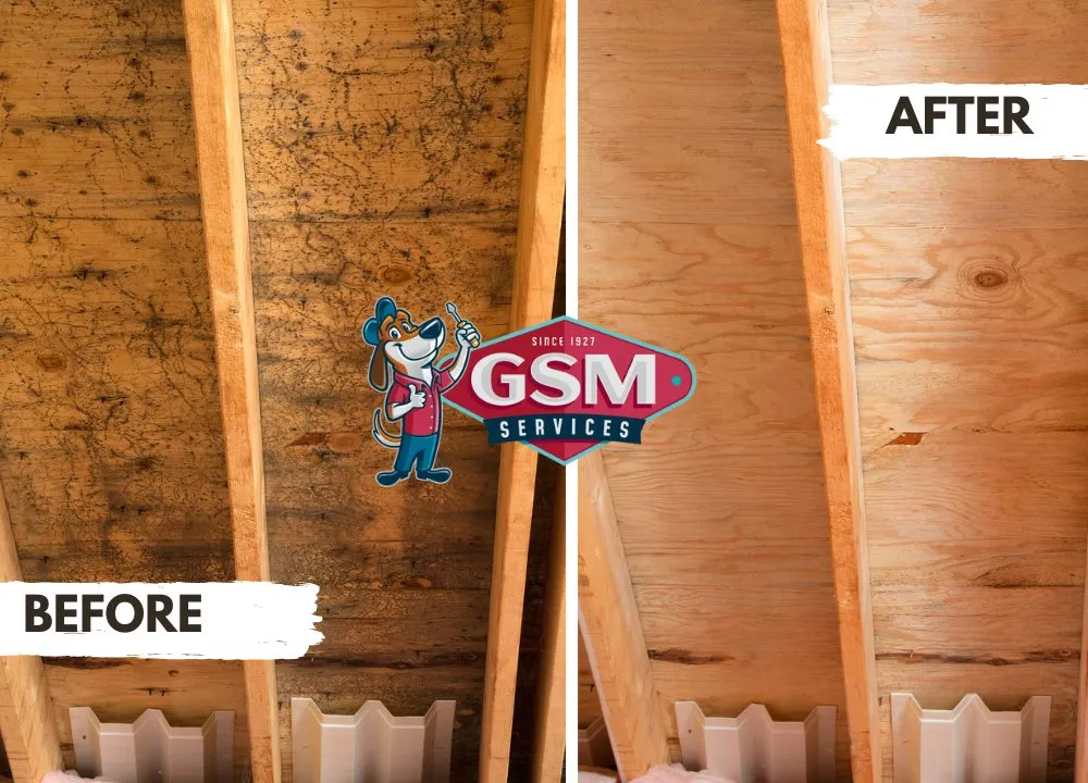 Slide of GSM Services