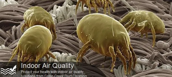 Slide of Guardian Home Services