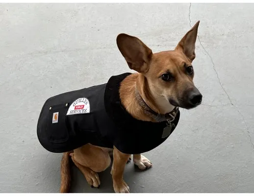 Guillen Repair Services Heating And Cooling