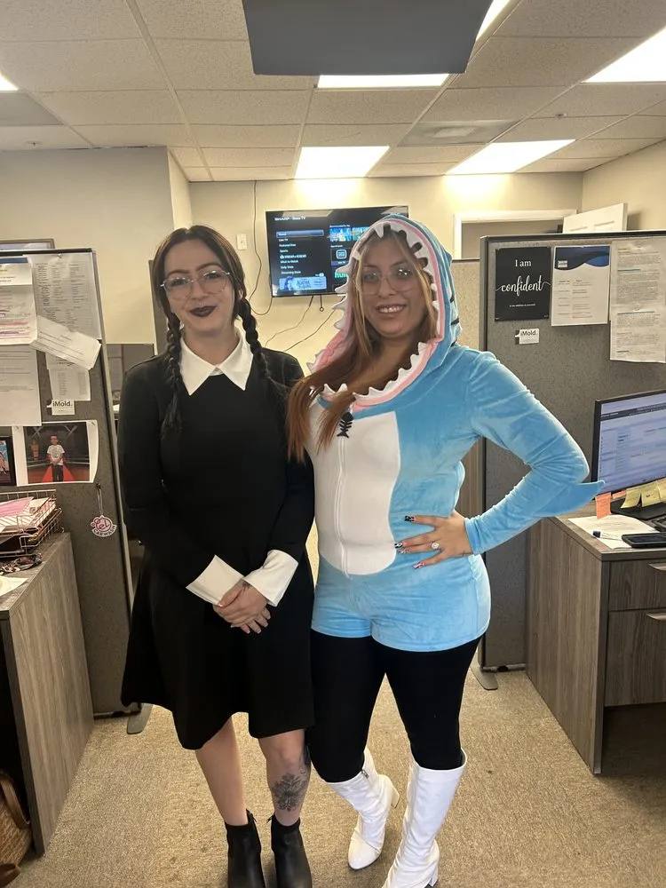 Slide of Gulf Shore Cooling