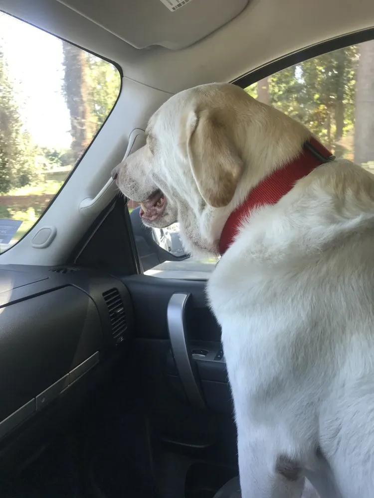 Slide of Gunn Service & Maintenance