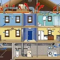 Slide of Gus and Woodrow Services