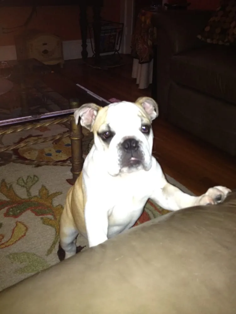 Slide of Guy Clermont Plumbing & Heating