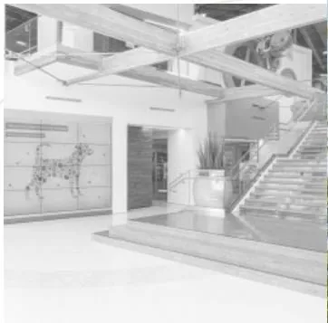 Slide of Guy Van Meulebrouck