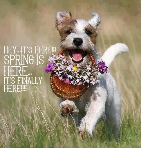 Slide of Haisma Heating & Cooling