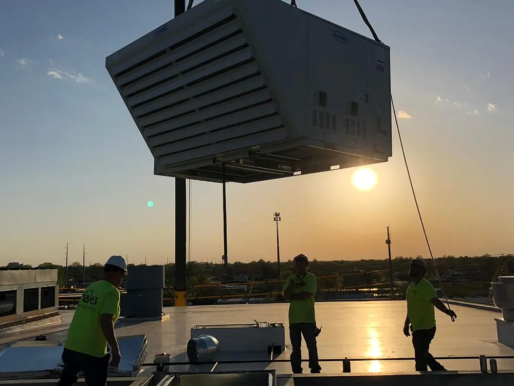 Slide of Hale's Mechanical