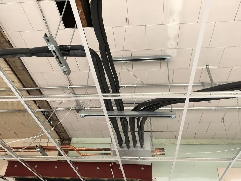 Slide of Hale's Mechanical