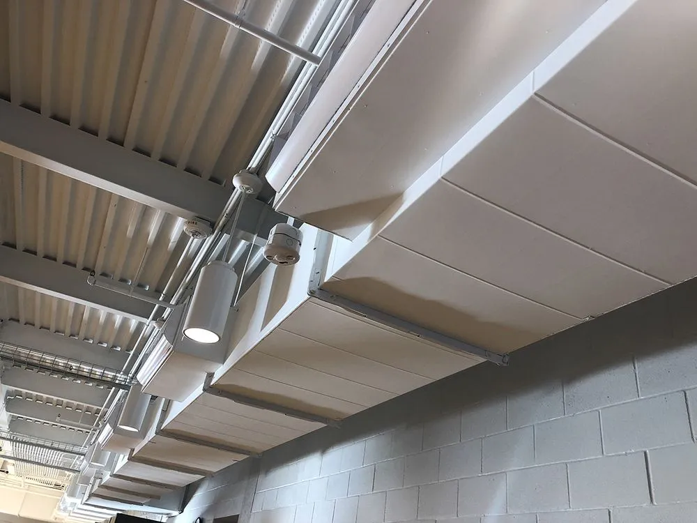 Slide of Hale's Mechanical