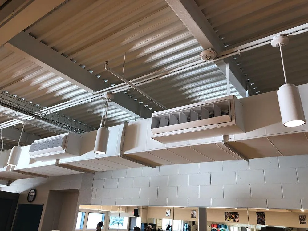 Slide of Hale's Mechanical