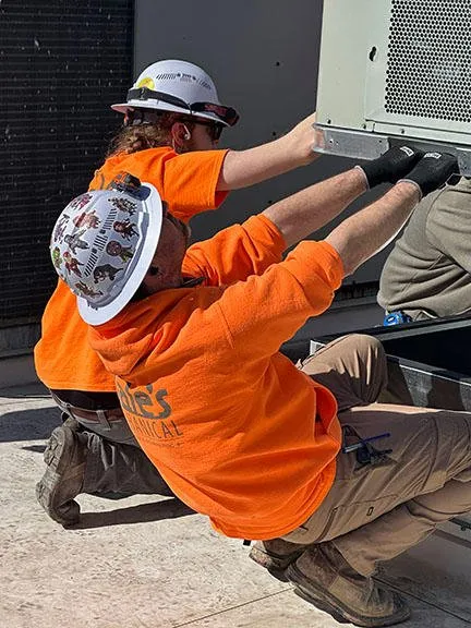 Slide of Hale's Mechanical