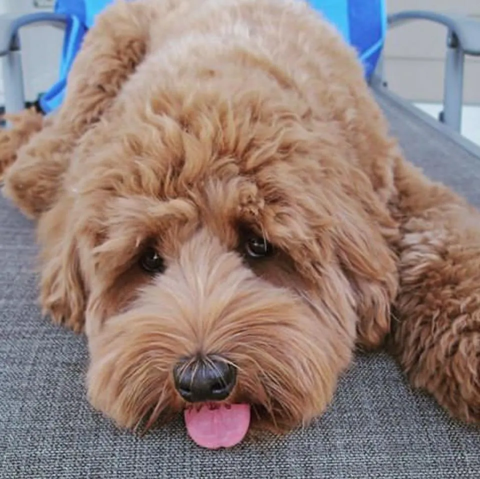 Slide of Halo Heating and Air