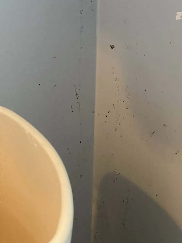 Slide of Hamilton Plumbing, Heating, A/C & Rooter