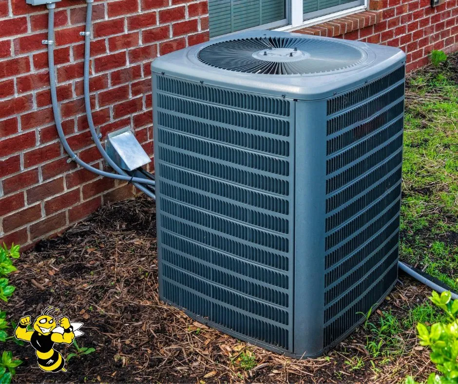 Slide of Hammock's AC