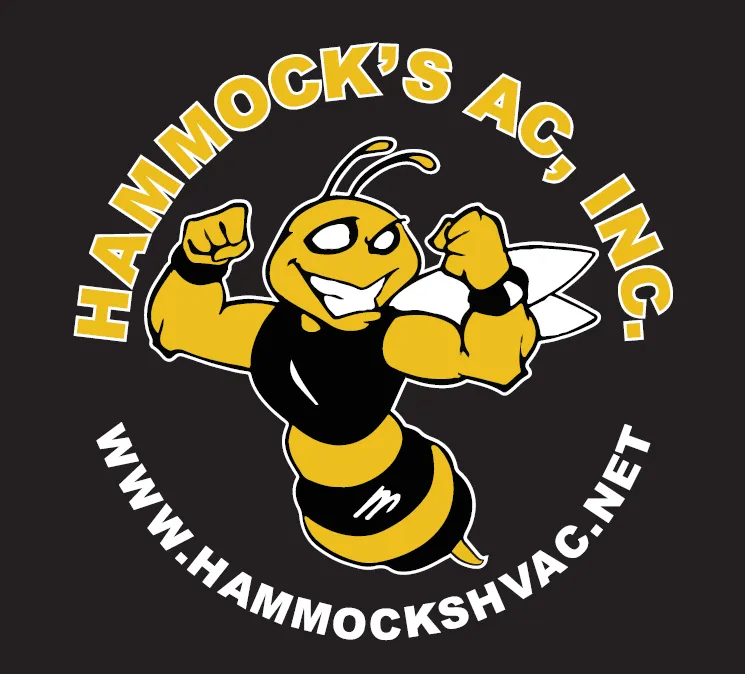 Slide of Hammock's AC