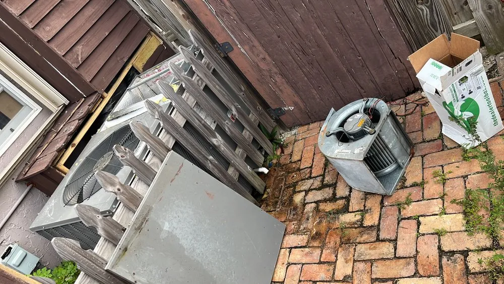 Slide of Handy Jorge